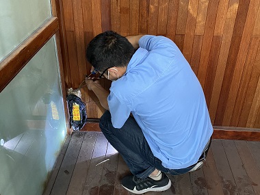 增城上门治白蚁中心住宅防白蚁，这几步千万不能少