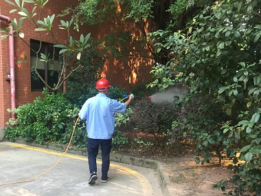 花都四害消杀公司室外环境怎样灭除蚊蝇虫害