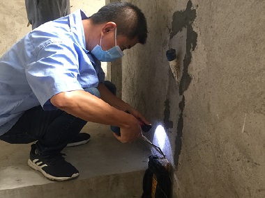 黄埔白蚁验收站——卫生间容易招白蚁吗?